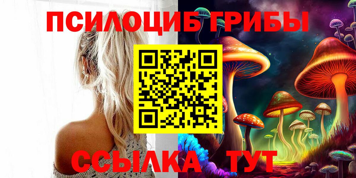 Заволжье  Псилоцибиновые грибы прущие грибы  Вход с VPN 